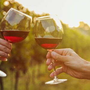 Exclusive Wine Tasting in Chianti Hills
