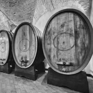 Wine-tasting-in-a-historical-winery