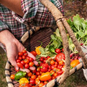 Farmer Experience and Tasting