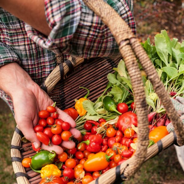 Farmer Experience and Tasting