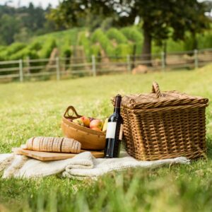 PicNic in Local Farm