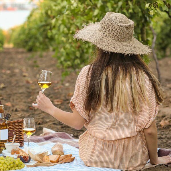 picnic in the vineyard