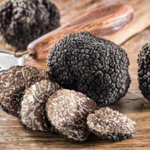 Be a Truffle Hunter for a Day