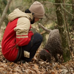 Truffle-Adventures-treasure-from-the-woods