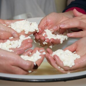 cheesemaker-for-a-day